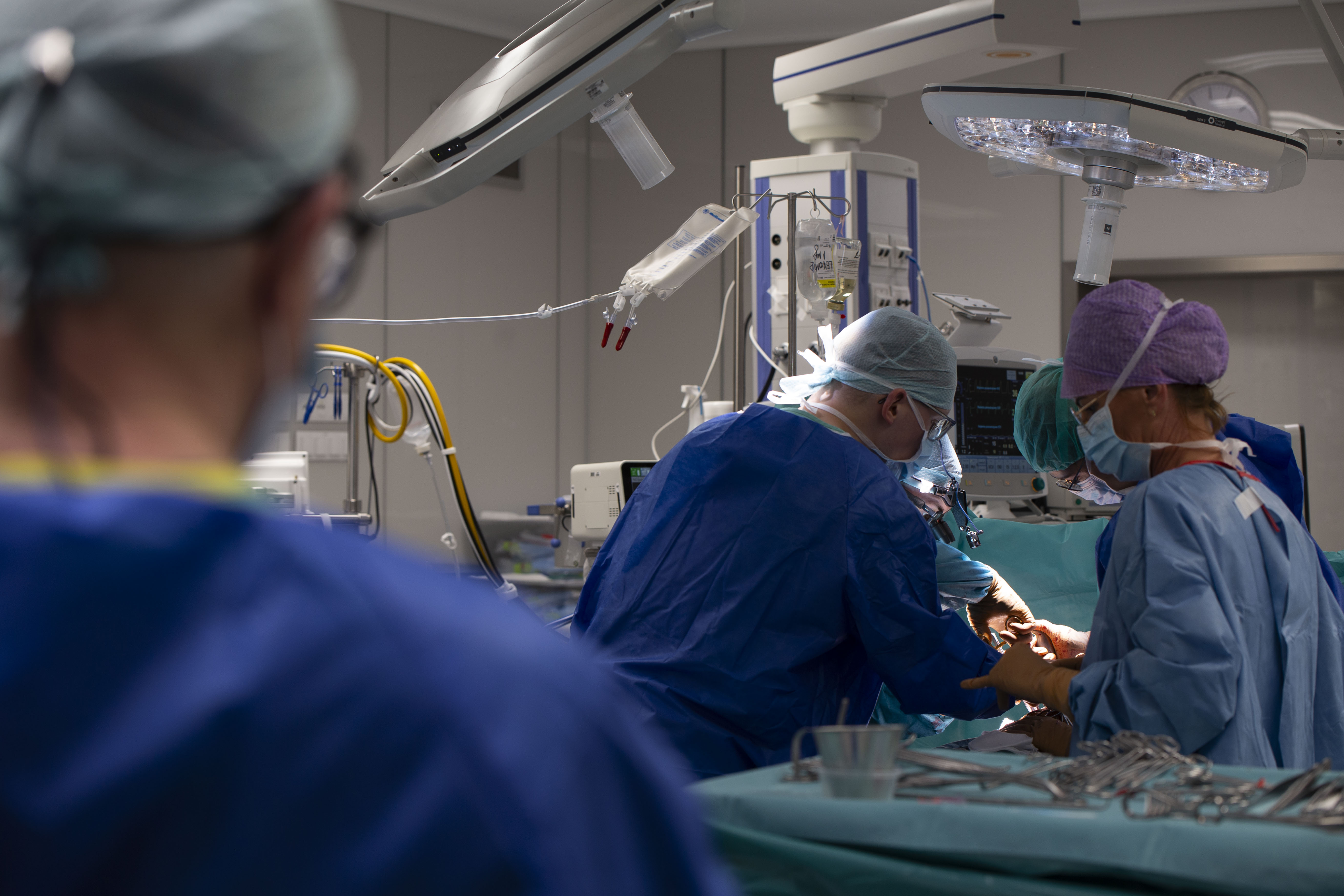 Transplantacja numer 200
