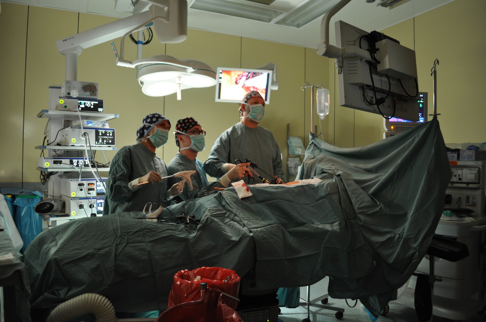 60 lat od pierwszego rodzinnego przeszczepu nerki