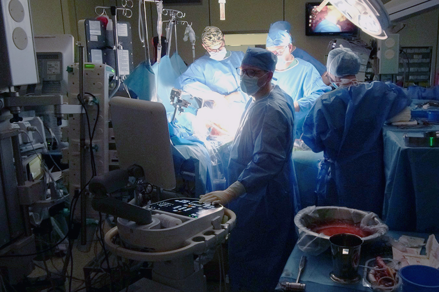 Autotransplantacja wątroby